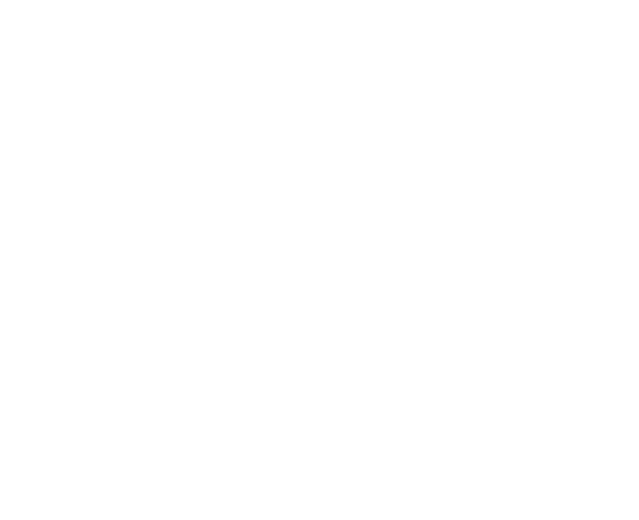 Dolphin Learning Solutions